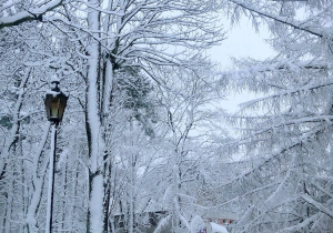 Biały, śnieżny, zimowy krajobraz. W tle domek. Z lewej latarnia.