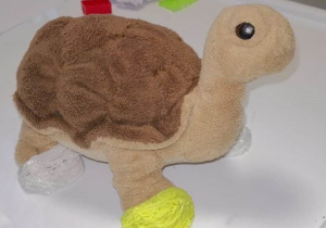 pluszowy żółw z wykonanymi butami 3D