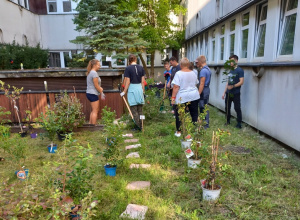 Hortiterapia w szpitalu