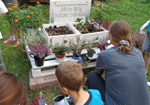 Na trawie stoi biała paleta z białymi skrzynkami. W jednej ze skrzynek. Przy skrzynkach stoi tablica pomalowana na biało z napisem leżą szyszki w drugiej stoją doniczki z zasadzonymi w nich kwiatkami. Doniczki z kwiatkami stoją też wokół skrzynek na palecie., lekarz leczy, natura uzdrawia. Wokół stoją i siedzą dzieci.