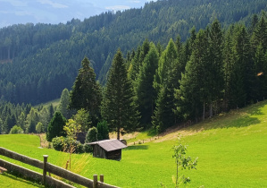 Na zdjęciu widać górską łąkę porośniętą jasną, zieloną trawą. Po lewej stronie stoi drewniany domek, a za nim prawą część zdjęcia zajmują wysokie tuje. Z lewej strony na górze widać błękitne niebo.