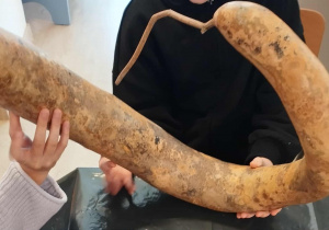 Tykwa wyglądająca jak instrument muzyczny.