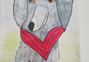 Portret szarego psa z czerwoną apaszką