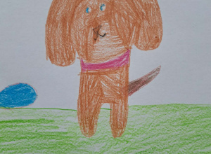 Dogoterapia – radość na czterech łapach