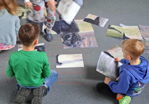 Na zdjęciu widać czarnego psa siedzącego na podłodze w pomieszczeniu, obok grupy dzieci stojących w rzędzie. Pies jest zwrócony w stronę osób, a jego sylwetka jest dobrze widoczna – ma długą, lśniącą sierść. Dzieci mają na sobie kolorowe ubrania i różne rodzaje obuwia, w tym kapcie, klapki i sportowe buty. Podłoga jest pokryta wykładziną w odcieniu szarości z cienkimi czerwonymi liniami. W tle widać fragment mebli i nóg dorosłej osoby. Scena wygląda na zajęcia integracyjne lub spotkanie edukacyjne z udziałem psa, prawdopodobnie w ramach dogoterapii lub warsztatów.