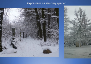 Dwa zdjęcia z zimową scenerią