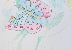 motyl - praca wysłana na konkurs "piękno motyla"