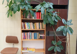 Jasny regał z książkami, obok duże, zielone kwiaty w doniczkach. Po lewej stronie brązowe krzesło na kółkach. W tle żółto brązowa ściana.